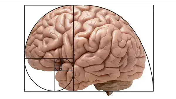 image.png 7