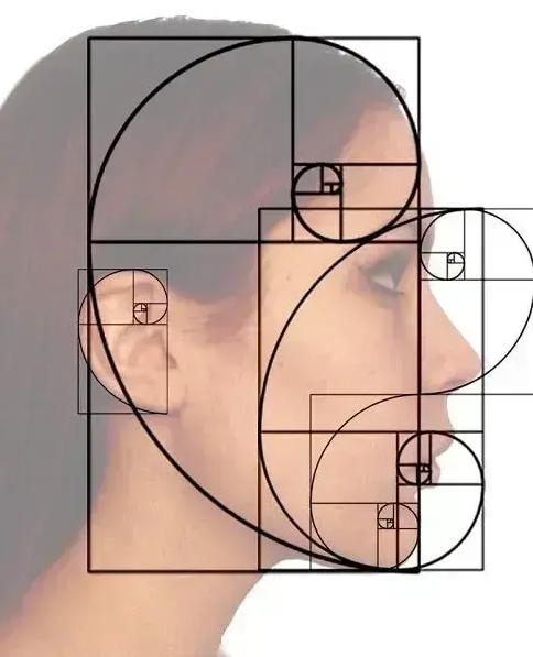 image.png 10
